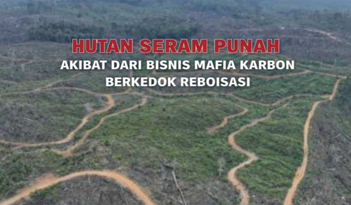 Kabar mengejutkan datang dari Maluku setelah jaksa mengungkap dugaan adanya praktik mafia karbon di kawasan Hutan Seram.