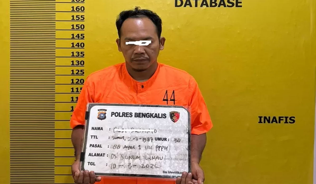 Viral! Illegal Logging di Polsek Siak Kecil Menggila, Polres Bengkalis Tidak Akan Toleransi